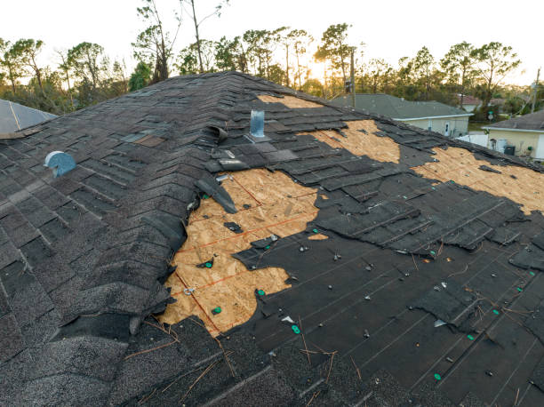 Best Roof Ventilation Installation  in Fayetteville, GA